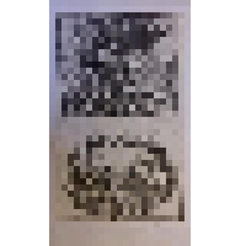 Офорт. Лист 14. Авраам и Лот возвращаются в Вефиль и расходятся. Авраам и Мелхиседек, царь Салимский (Быт. 13, 14)