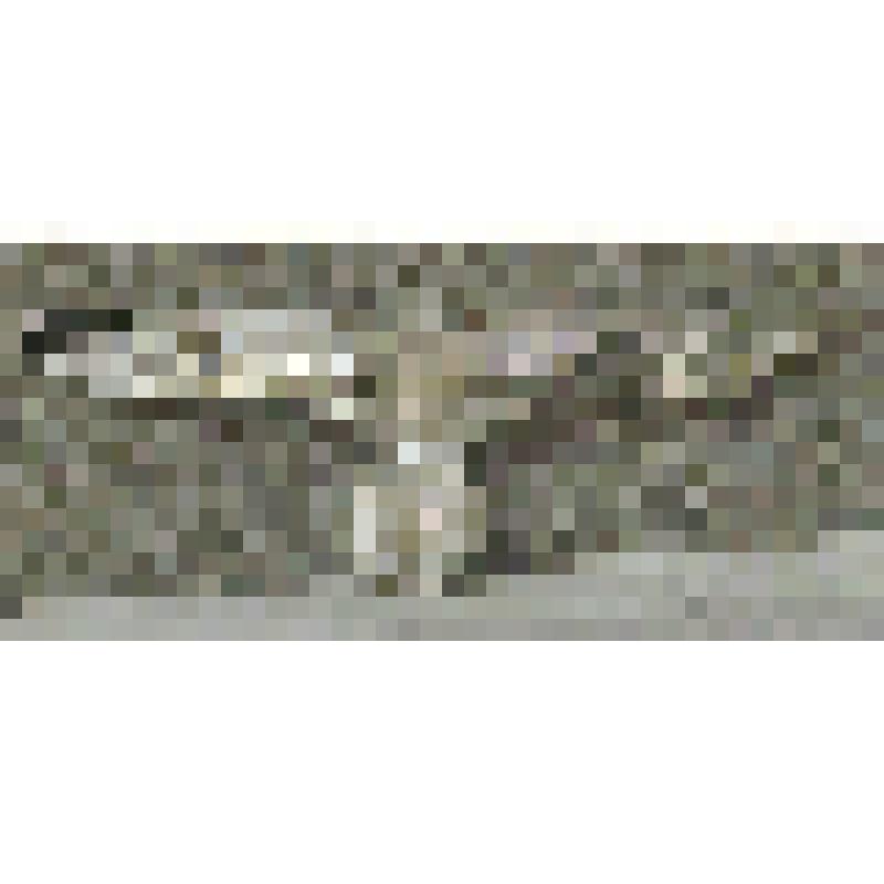 Орел нацистский - эмблема на головном уборе ВС Германии во Второй Мировой войне