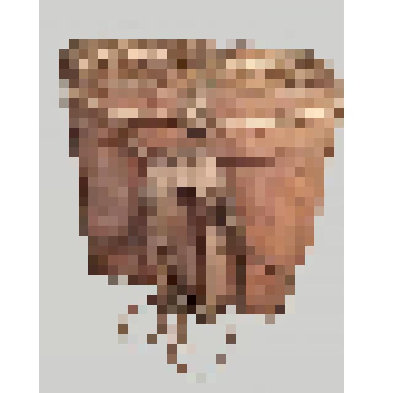 Короб (горбовик) - берестяной  короб на лямках для сбора ягод, грибов, рыбы