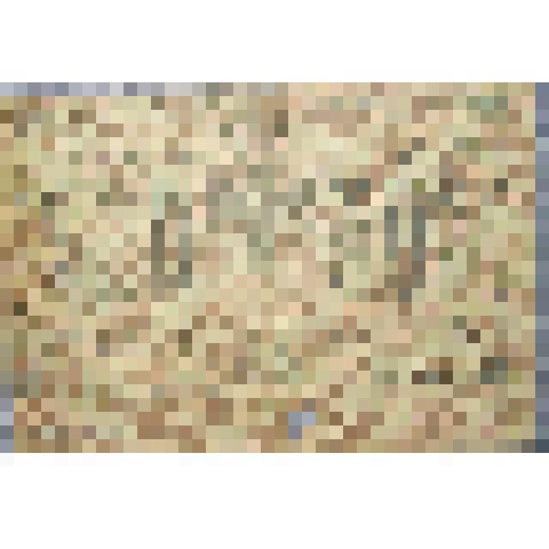 Государственный кредитный билет "500 рублей", 1918 г