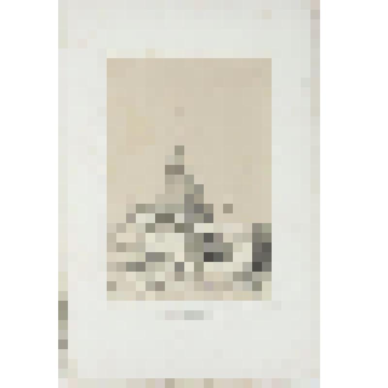 Литография. "Москва. Ворота Святого Николая."