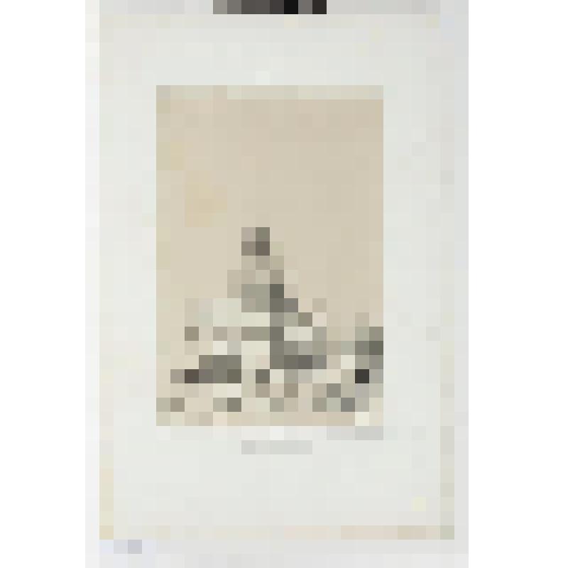 Литография. "Москва. Ворота Святого Николая."