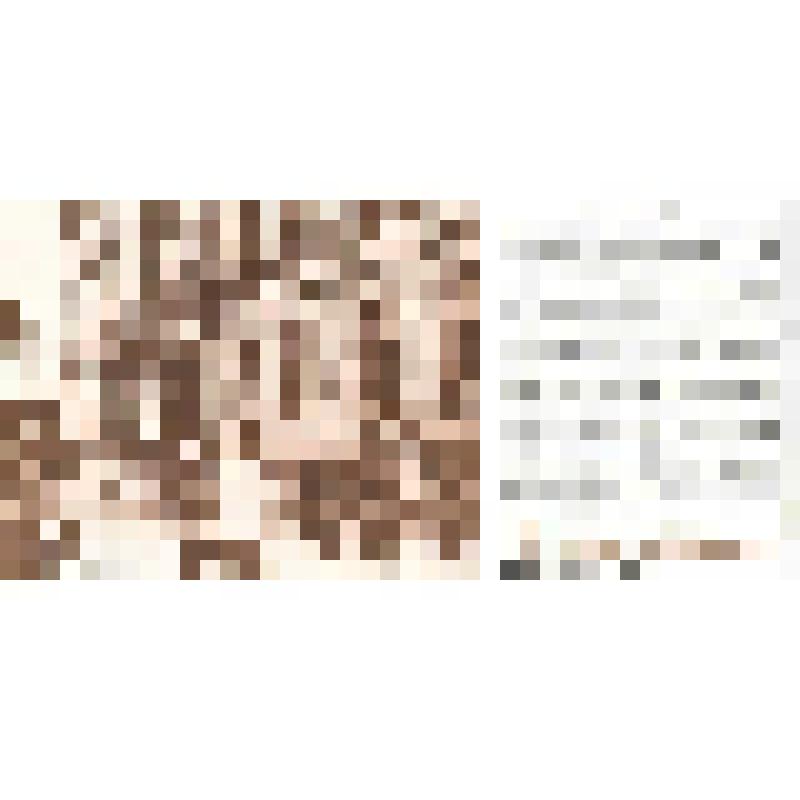 Открытка "Памятник Минину и Пожарскому. Бывший «ночлежный дом»"