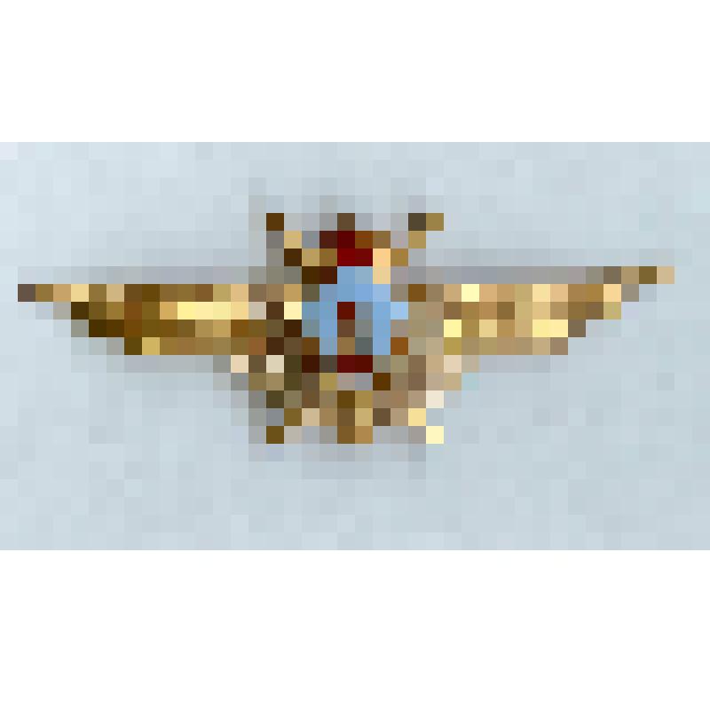 Знак нагрудный классной квалификации «Военный летчик 1-го класса» Теслина Виктора Степановича, заместителя командира авиационного истребительного полка