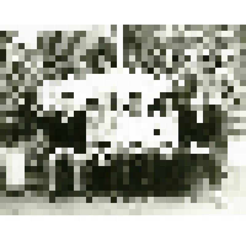 Фотография ч/б. Групповой снимок членов комсомольско-молодёжной бригады ТЭЦ (теплоэлектроцентрали)