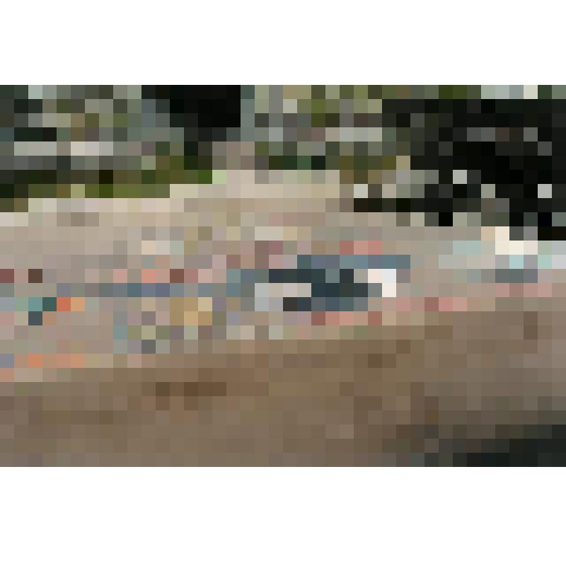 Фотография. Акция "В защиту серых китов", проведенная общественной организацией "Экологическая вахта Сахалина"