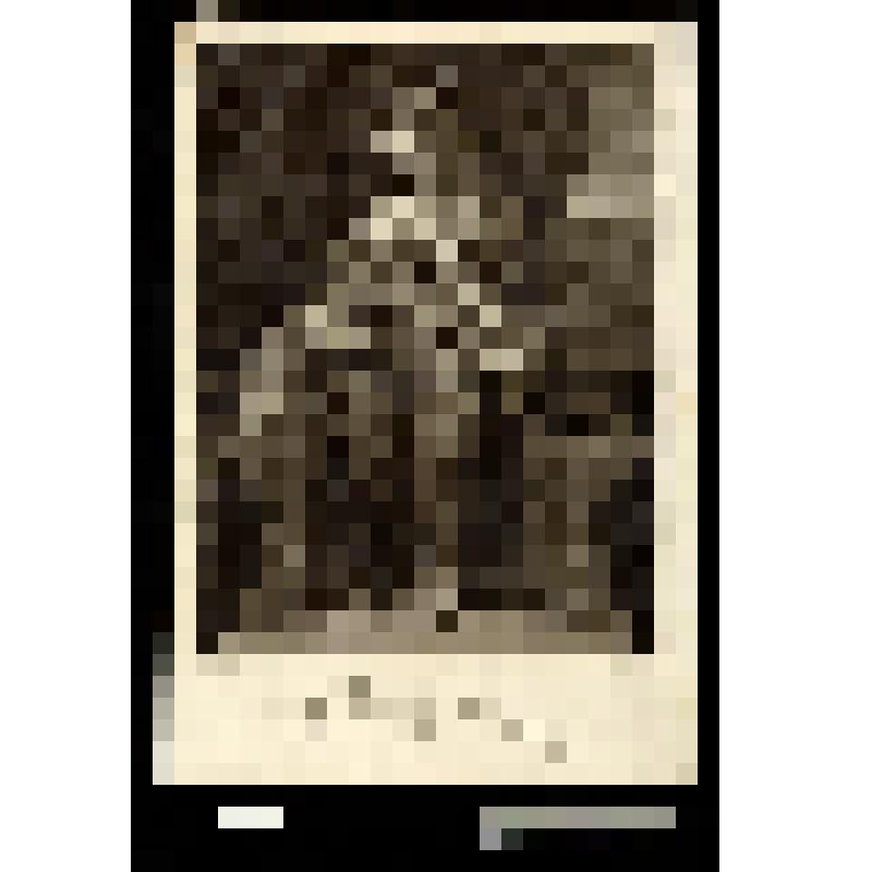 Мадонна с бабочкой