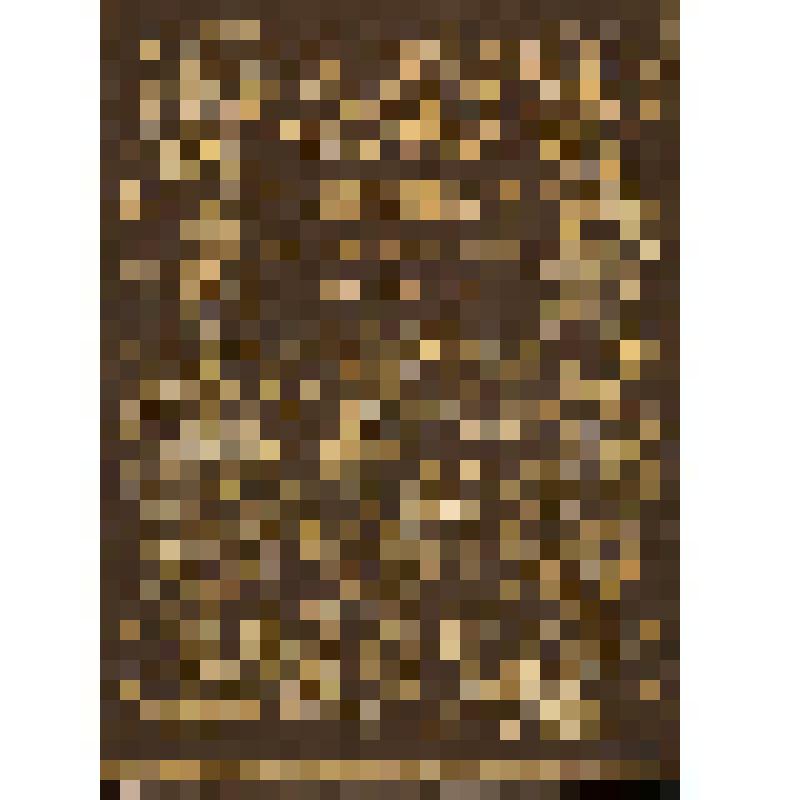 Обложка альбома. Из альбома "Вышивка Калининской области. Альбом зарисовок и фотографий". Часть 2