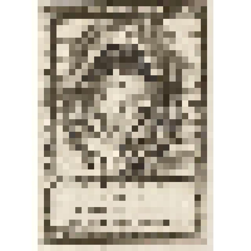 Генрих IV Великий (1553 — 1610) — лидер гугенотов, король Наварры с 1572 года (как Генрих III), король Франции с 1589 года (формально — с 1594), основатель французской королевской династии Бурбонов. фонд западноевропейского  гравированного портрета