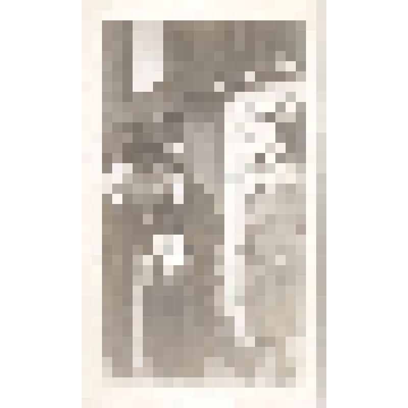 Фотография черно-белая. В.С.Горовиц и С.В.Тарновский, пианисты