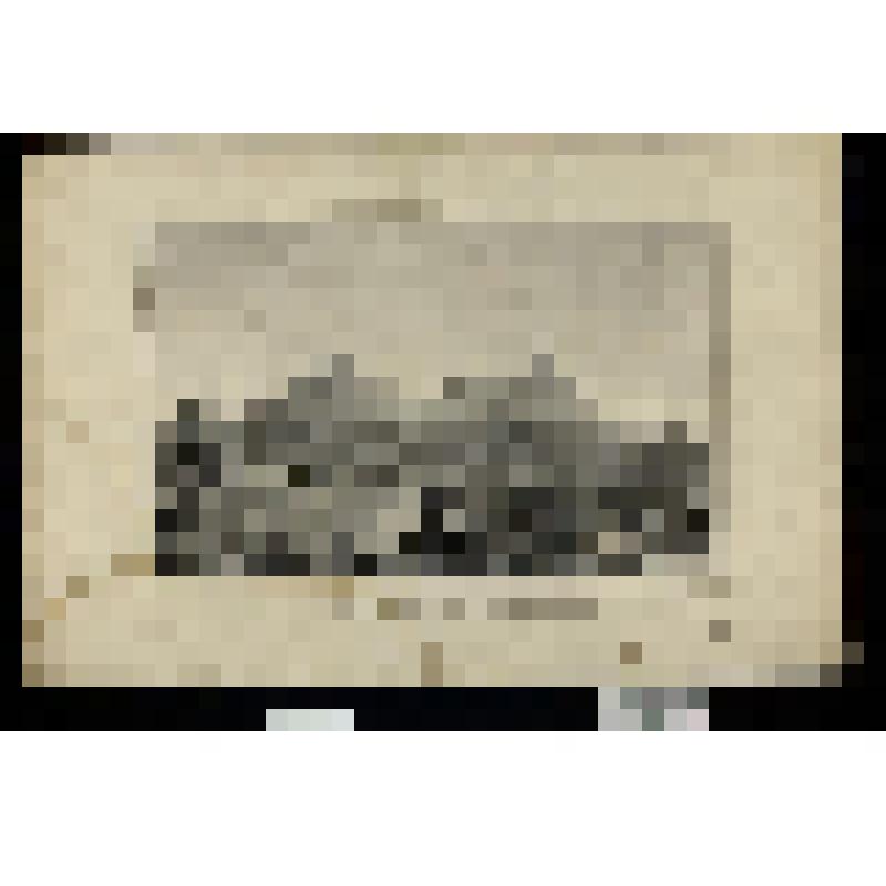 Лагерь возле Наваринского акведука