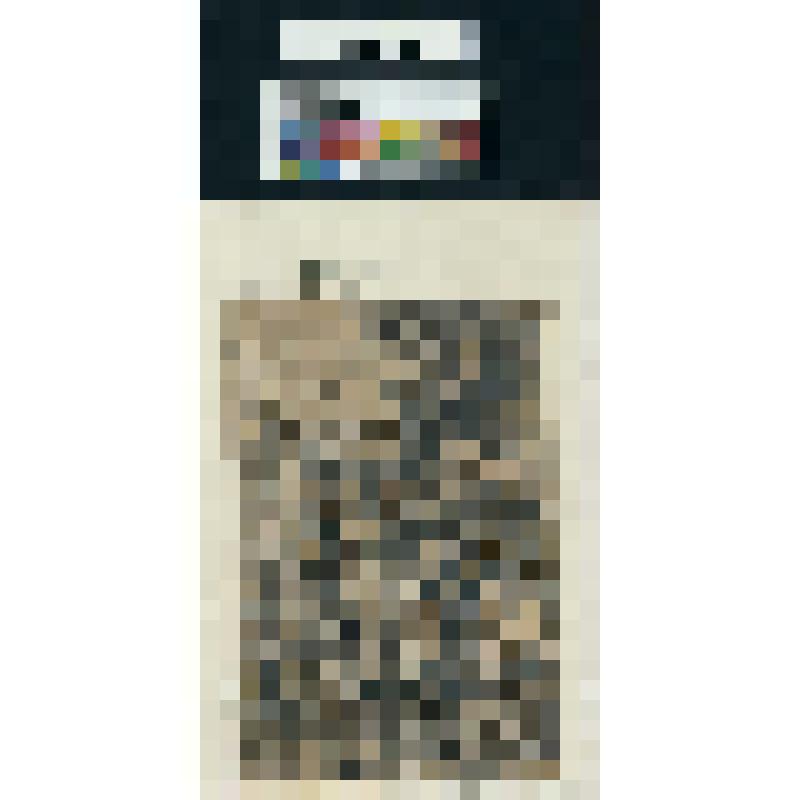 Переход евреев через Иордан