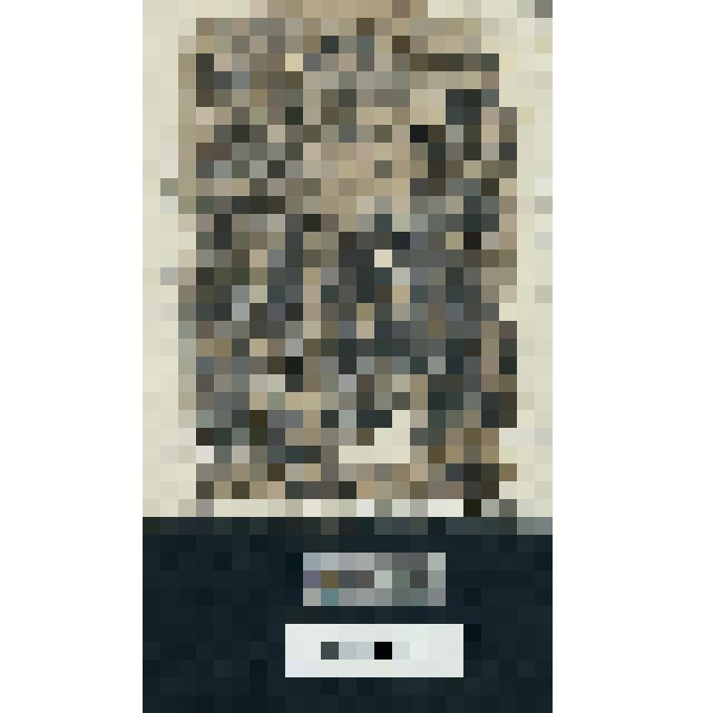 Перенос ковчего Завета через Иордан