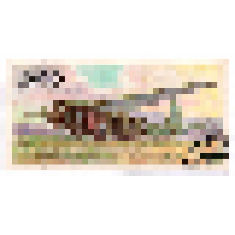 Марка почтовая. Почта СССР, 1982 год, 32 коп. Серия "История советского планеризма"