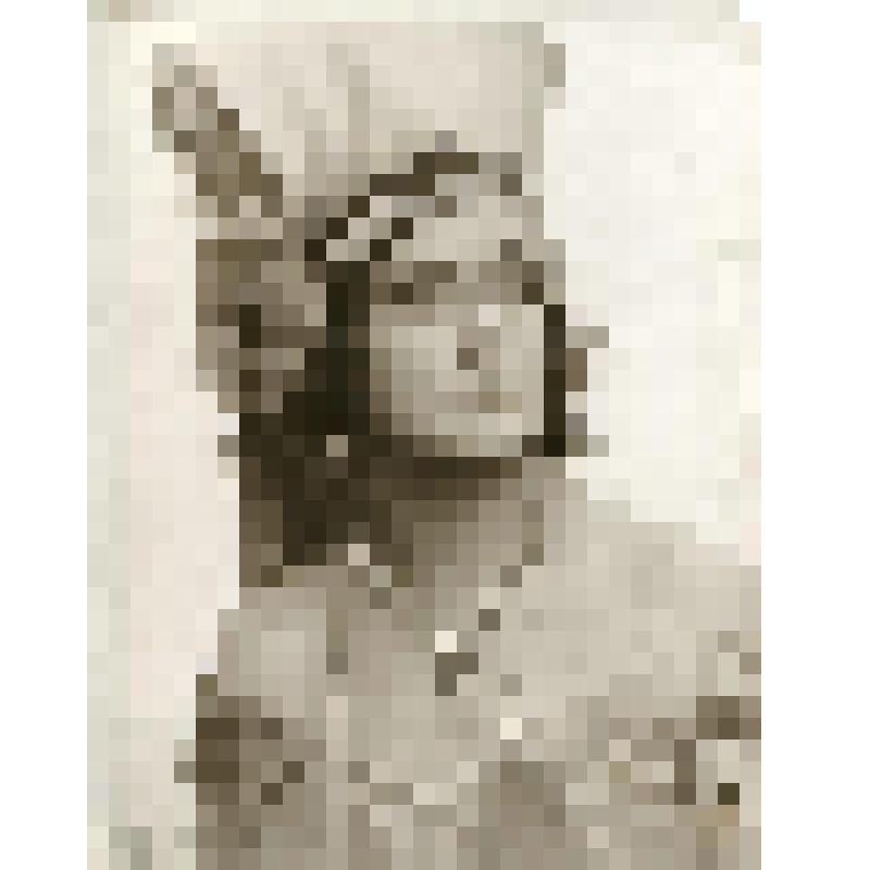 Фотография. М.Н. Горшкова - мать Флер де Лиз в роли. Погрудно, фас. "Эсмеральда"