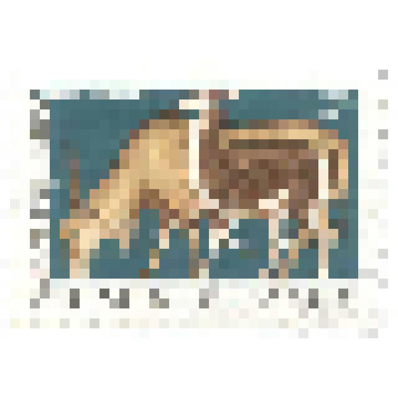 Марка. Канна-Гуанако