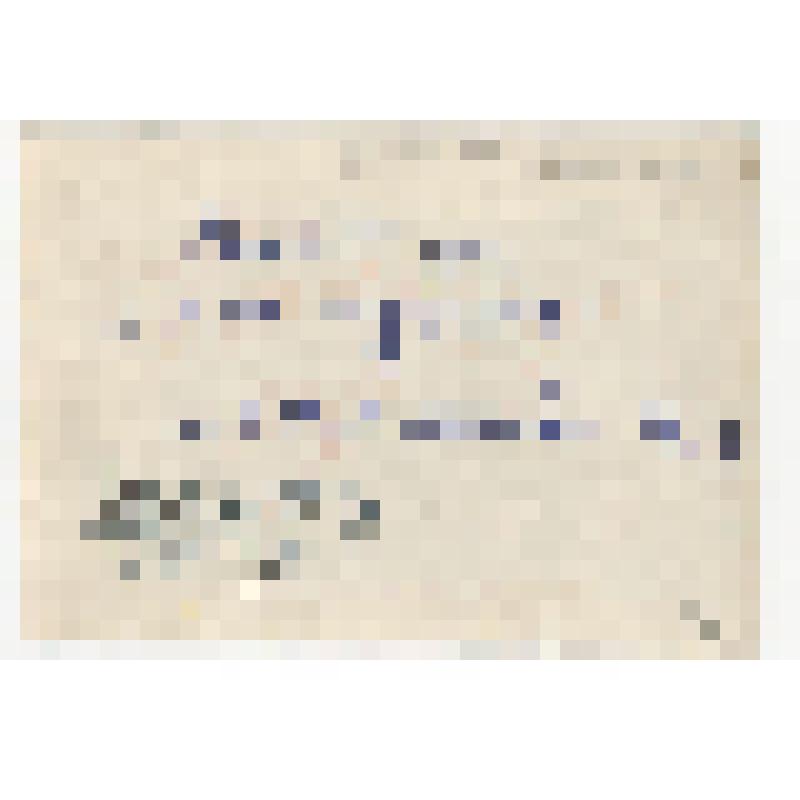 Фотография. Ланской Марк Зосимович