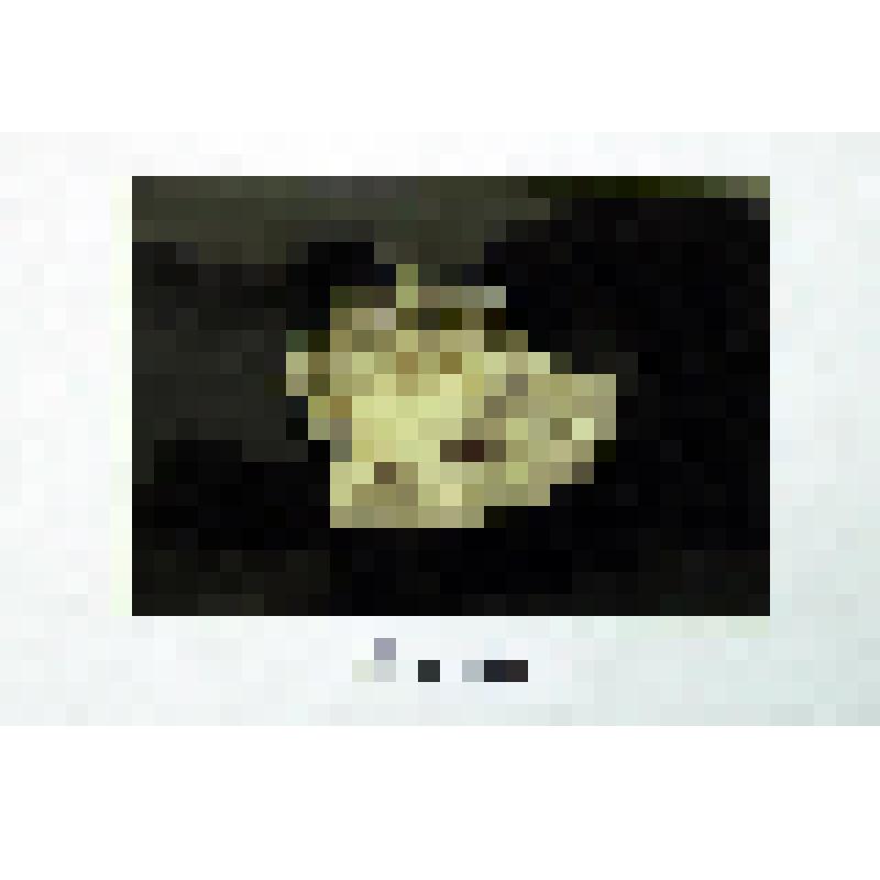 Фотография цветная. Фотография