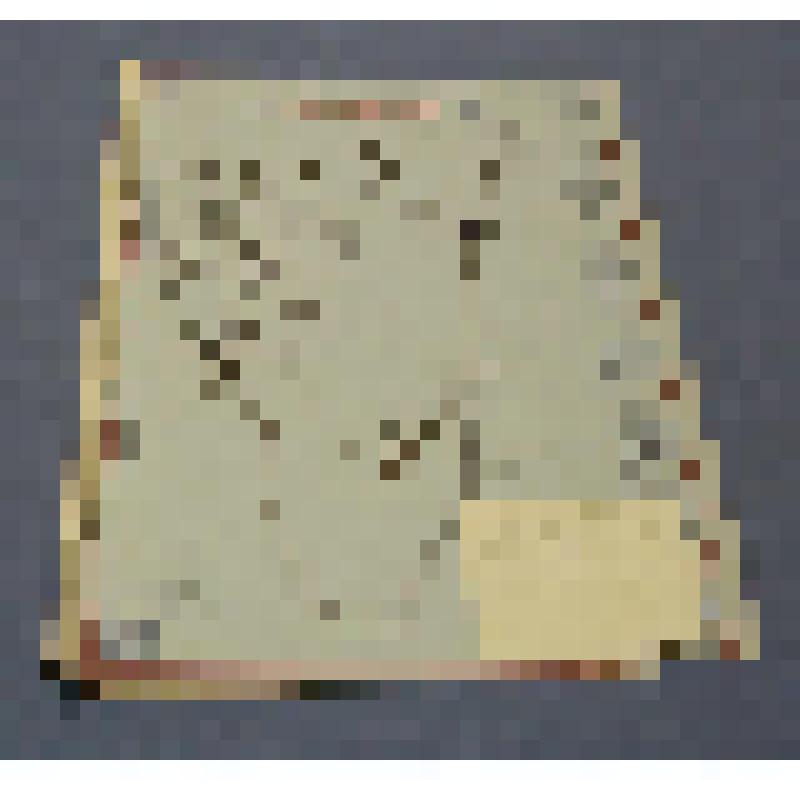 Ботаническая коллекция. Подмаренник, семейство подмареновые, на гербарном листе,  Усть-Абаканский район, Абакан, левый берег протоки. Gelium csepium