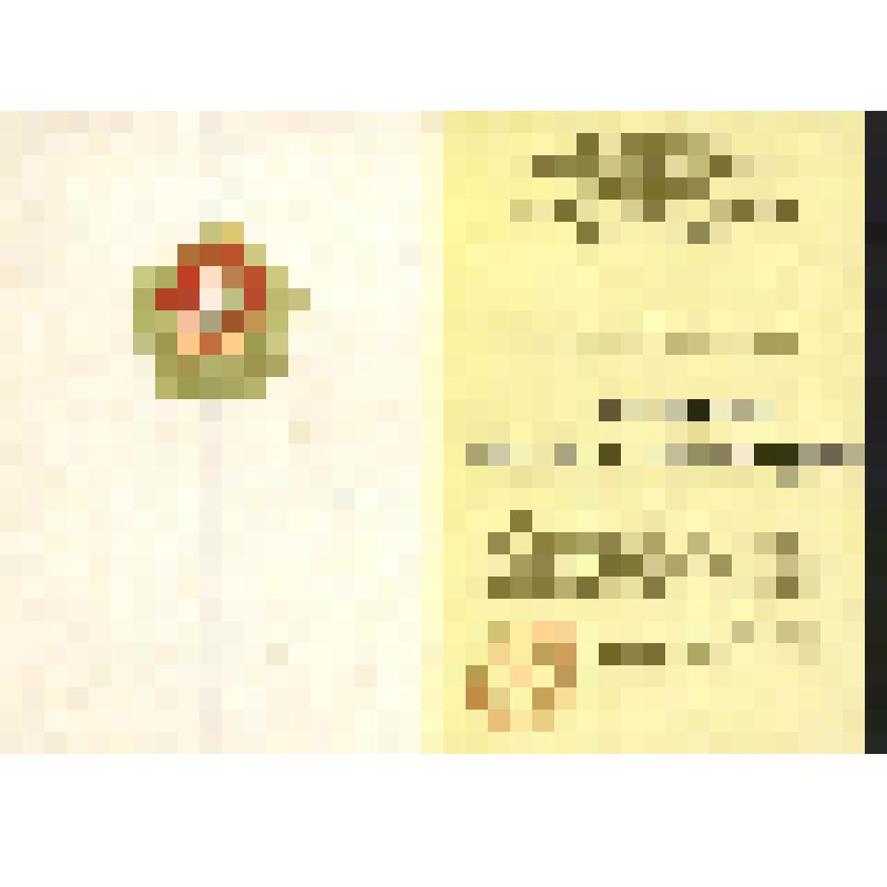 Удостоверение к юбилейному значку "50 лет Всесоюзной пионерской организации имени В.И.Ленина" Санкина Н.Н