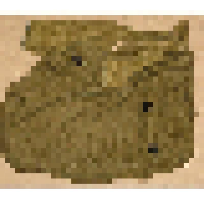 Миноискатель армейский