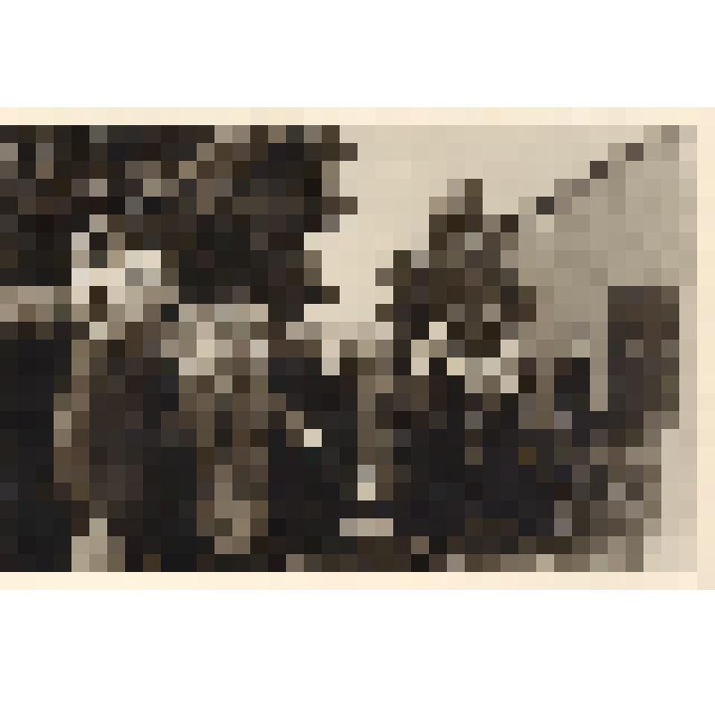 Фотография ч/б., групповая. Группа людей у могилы партизан. Среди них Полухин Т.А