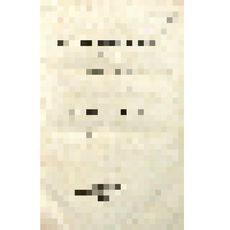 Книга. Часть III. Святого отца нашего Иоанна Златоустого Беседы на Книгу бытия, переведенные с греческого при Санкт-Петербургской духовной академии : Ч. 1-3. Санкт-Петербург, тип. Е. Фишера. 1851-1853. 3 т