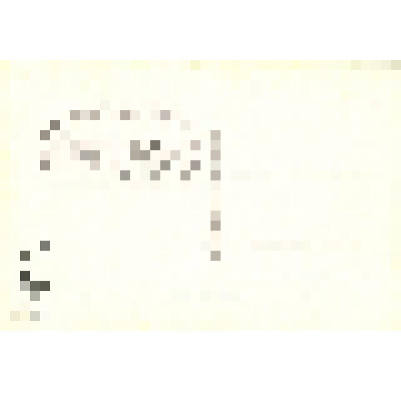 Набор почтовых открыток из 20 шт., ч/б,