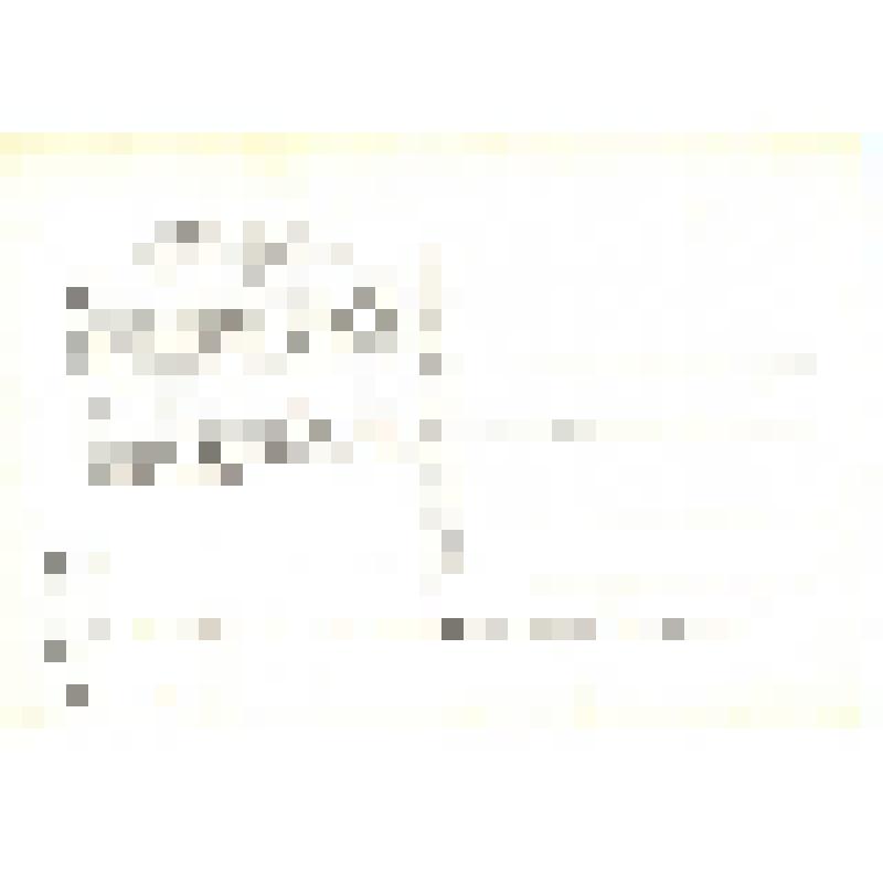 Набор почтовых открыток из 20 шт., ч/б,