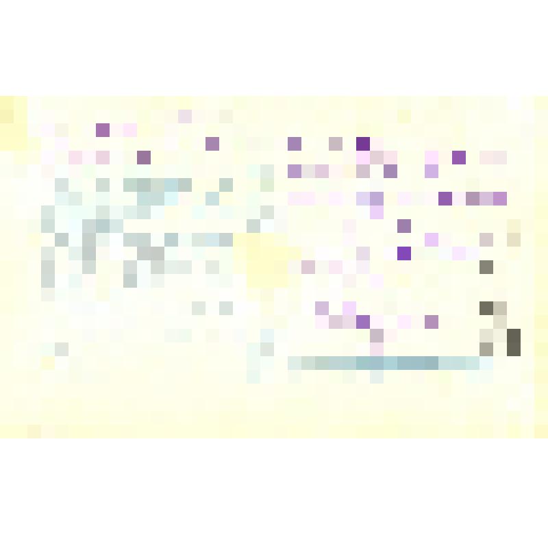 Набор почтовых открыток из 13 шт., ч/б