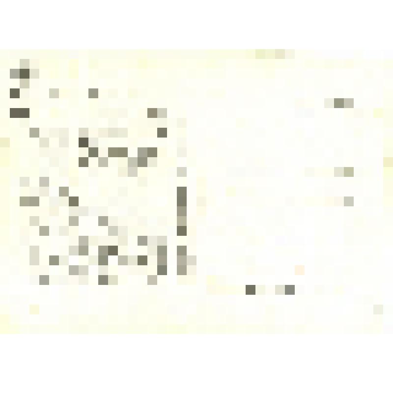 Набор почтовых открыток из 13 шт., ч/б