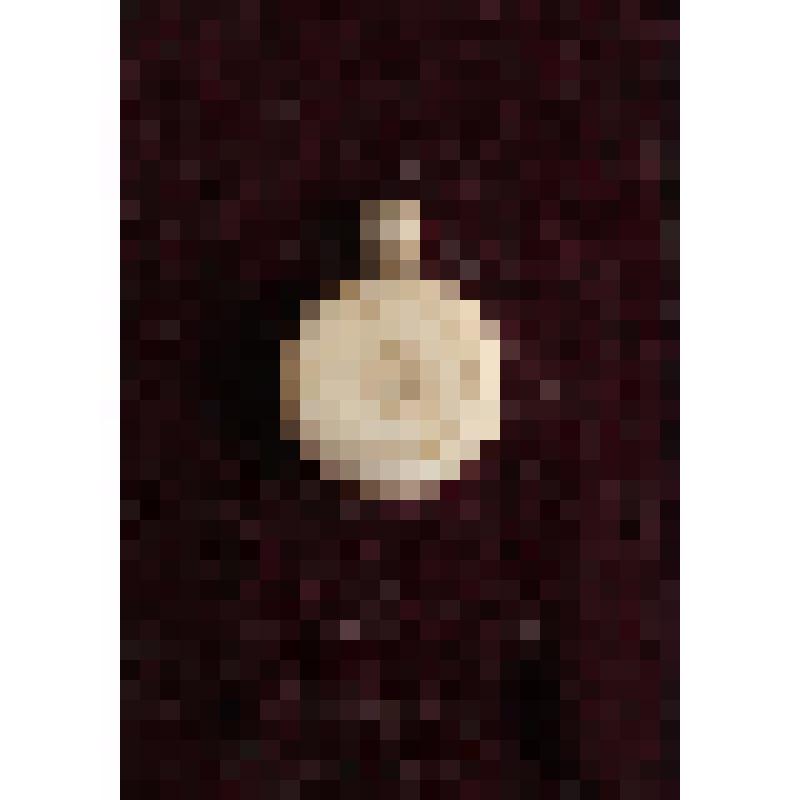 Коробка с костяными бирюльками: фляга