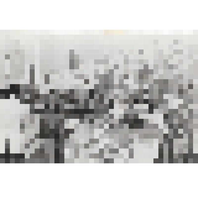 Фотография.  Преподаватели детской художественной школы на демонстрации 7 ноября 1983 г