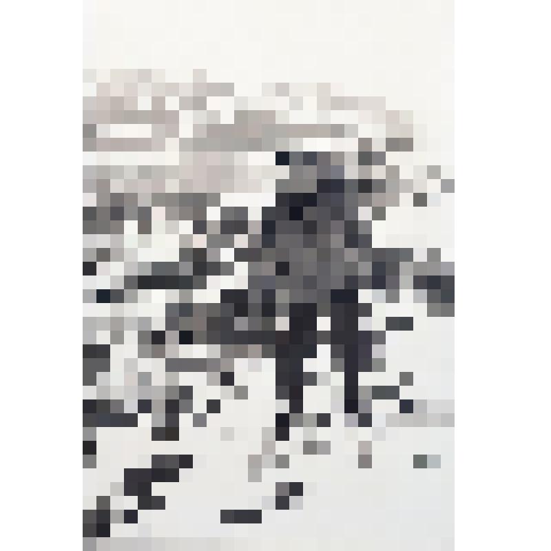 Фотография Хутуев Ханафи Исхакович