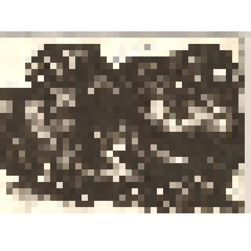 Без названия [27 октября 1984]. Рисунок