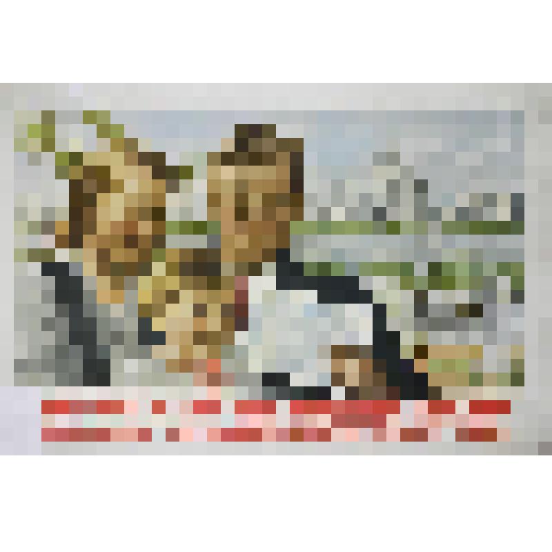 Плакат "Подпиской на новый заем делаем жизнь советского народа ещё лучше и краше!"