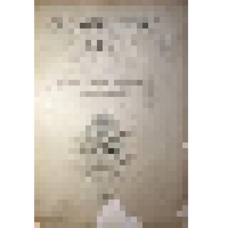 Charakteristische Details von ausgeführten Bauwerken : mit besonderer Berücksichtigung der von Hugo Licht publicierten Werke (Характерные детали). Альбом фототипий. Berlin. XIII Band Lfg. 1. Verlag von Ernst Wasmuth A.-G 31-Markgrafenstrass-31