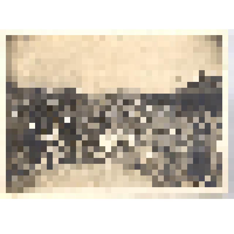 Фотография ч/б. Санитары и сестры милосердия. Руднев Н. сидит справа во втором ряду. [1915г.]