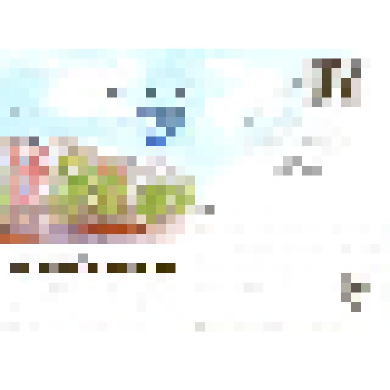 Карточка почтовая "Шестой учебный корпус" со спецгашением, из коллекции конвертов и почтовых карточек, посвященных 100-летию СГУ