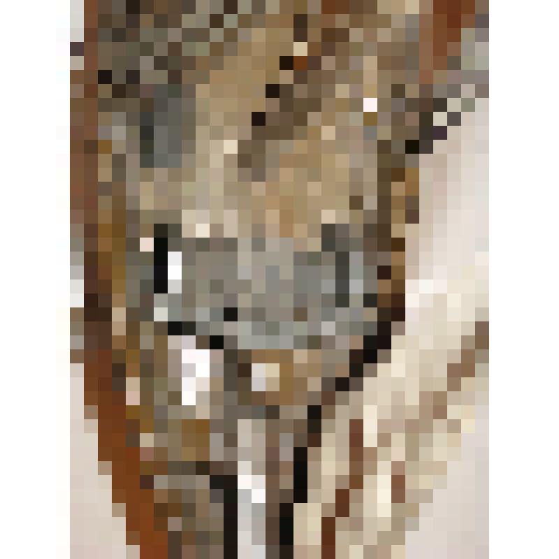 Модель. Шхуна «Ненец» на подставке