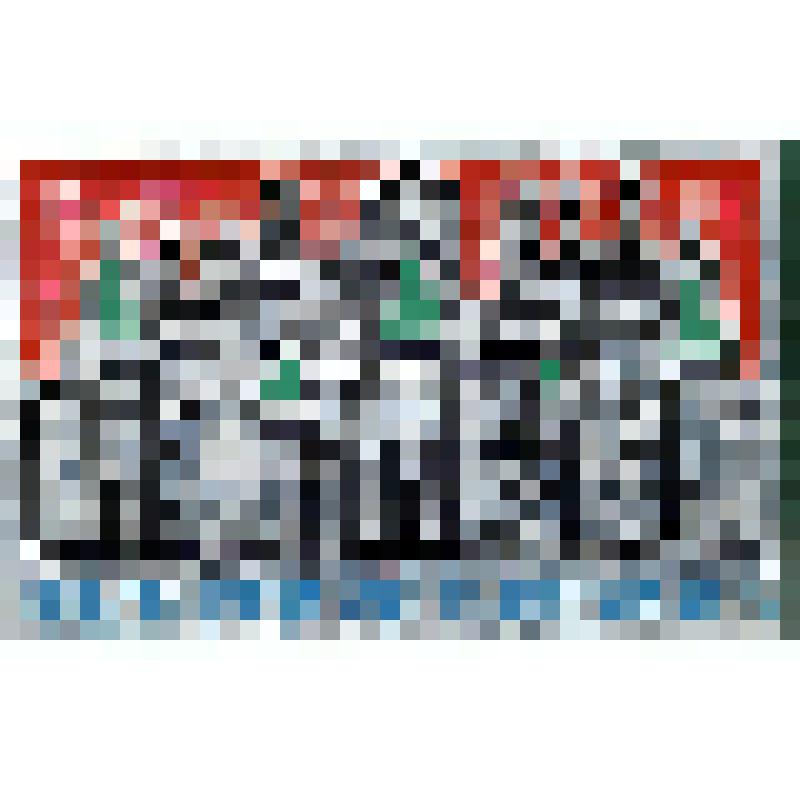 Значок с надписью Тверской кремль