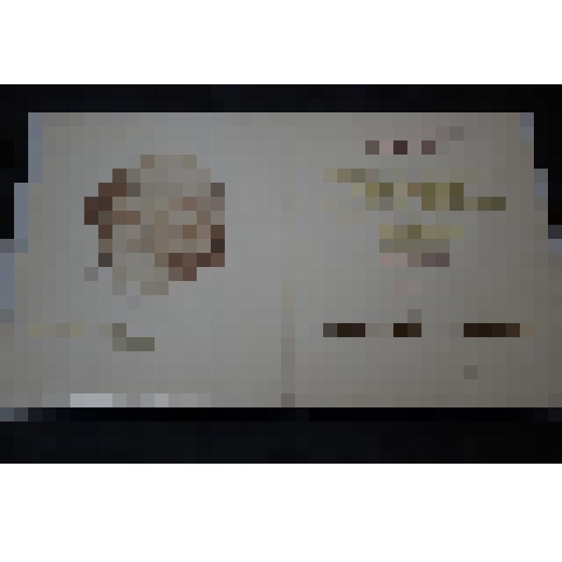 Почетная грамота ЦК КПСС и ЦК ВЛКСМ- врученная Краснокамскому району Совета Министров СССР, ВЦСПС –врученная Краснокамскому району Башкирской АССР за достижение наивысших результатов во Всесоюзном социалистическом соревновании в зимний период 1979-1980 гг