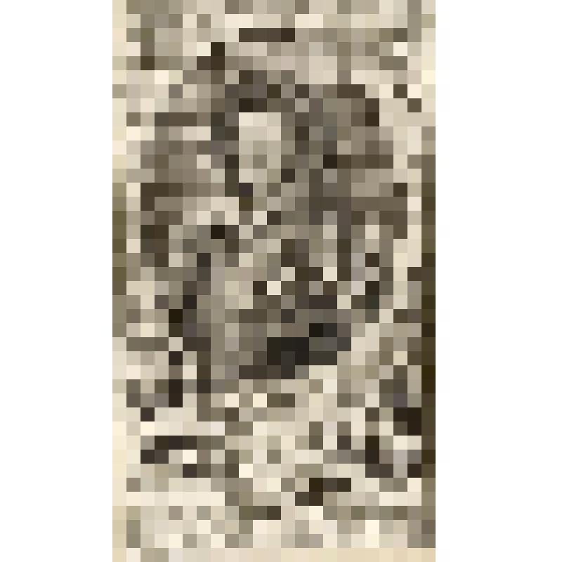 Франсуа Луи де Бурбон-Конти́ (1664—1709) —  третий принц де Конти (1685), известен как Великий Конти, кузен Людовика XIV, фонд западноевропейского  гравированного портрета