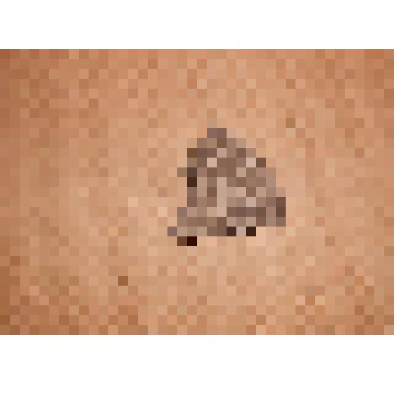 Фрагмент стенки гончарного сосуда