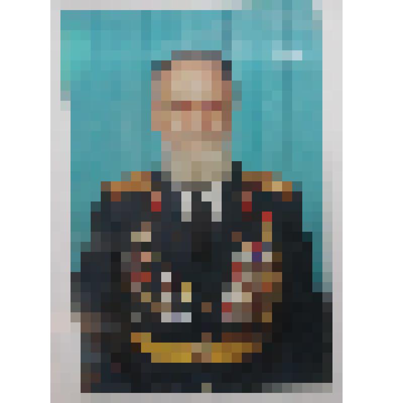 Фотография. Ершев Иван Иванович - участник Великой Отечественной войны, полковник