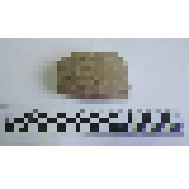 Ручка амфоры типа Зеест 72