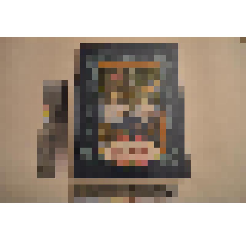 Книга. Сказки. У Лукоморья. Волшебный мир сказок А.С.Пушкина в рисунках детей. /К 200-летию со Дня рождения поэта/. - Москва: Комитет общественных и межрегиональных связей правительства Москвы, центр "Этносфера", 1998