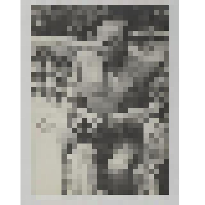 К.Г. Паустовский с фотоаппаратом, в плетеном кресле