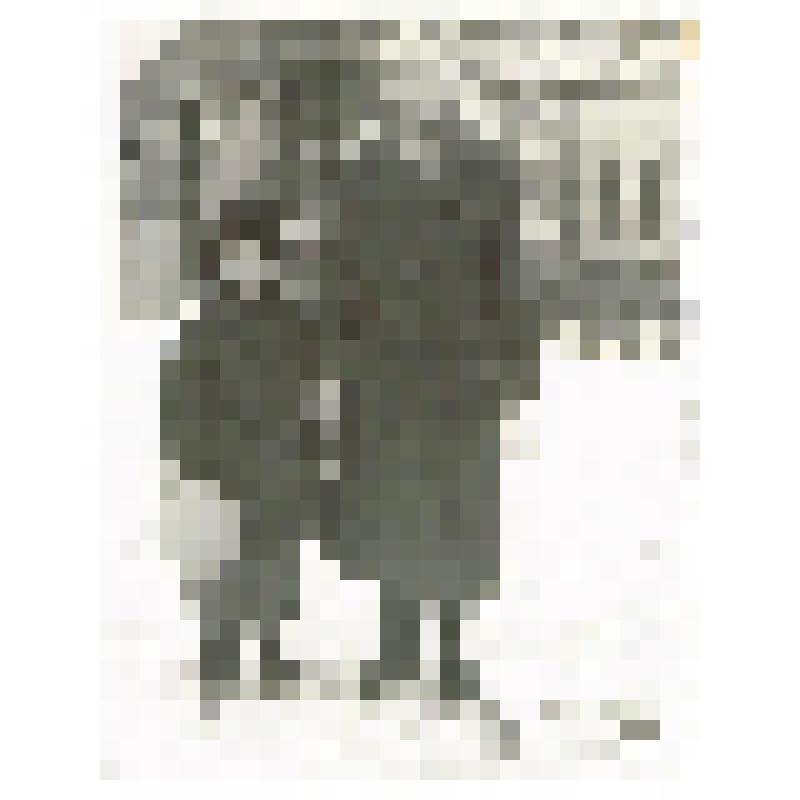 Фотография черно-белая. «п. Октябрьское библиотека 1 мая. Женщина с ребенком»