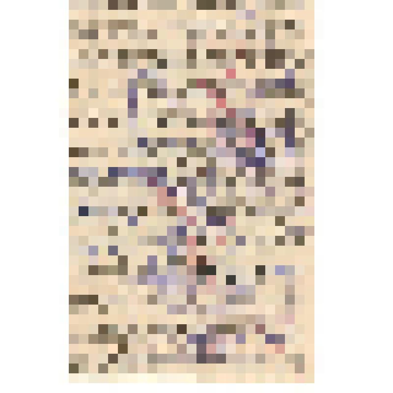 Вырезка  из печатного издания. А.Н. Абаринова, известная артистка. XIX в., конец - ХХ в., начало. Россия